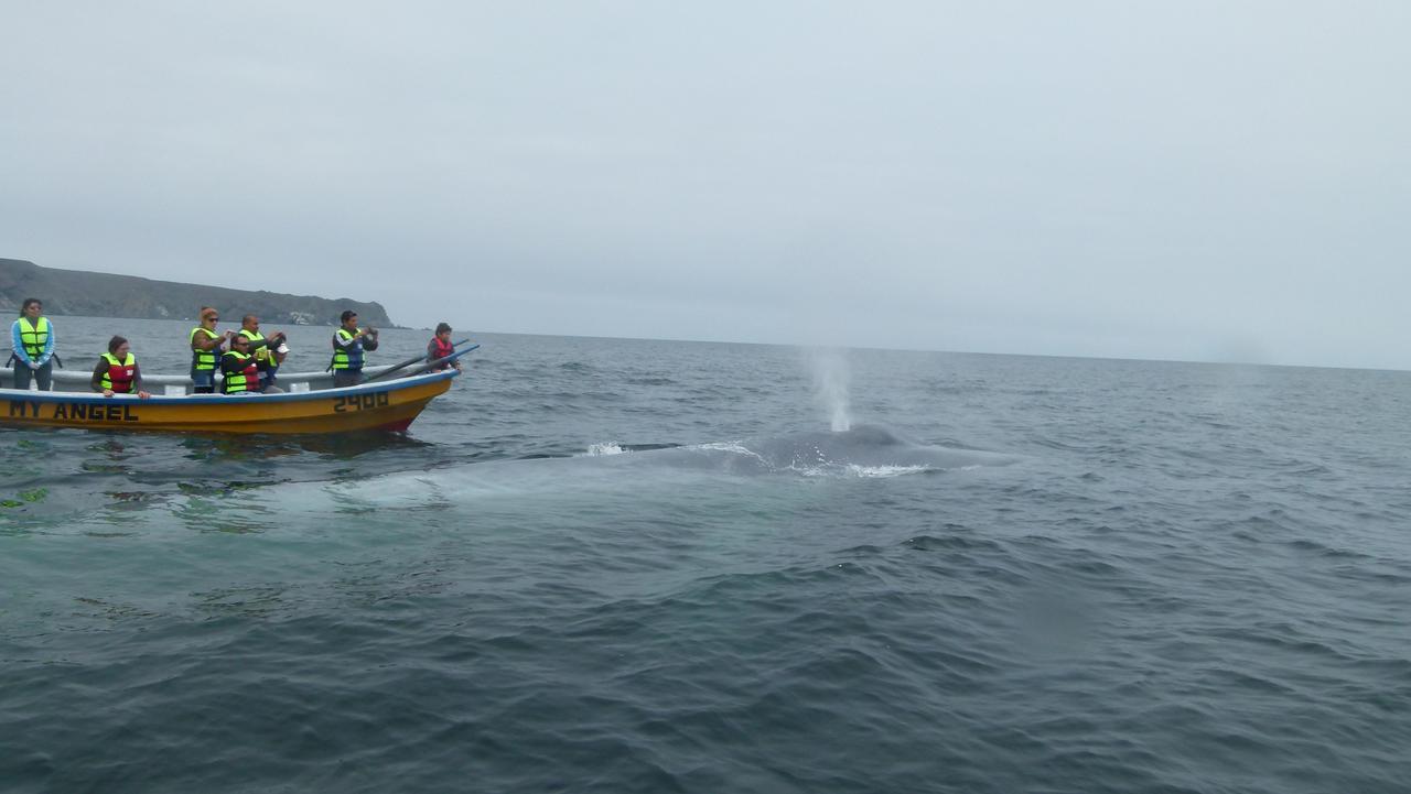 Punta De Domos Villa Punta de Choros Ngoại thất bức ảnh
